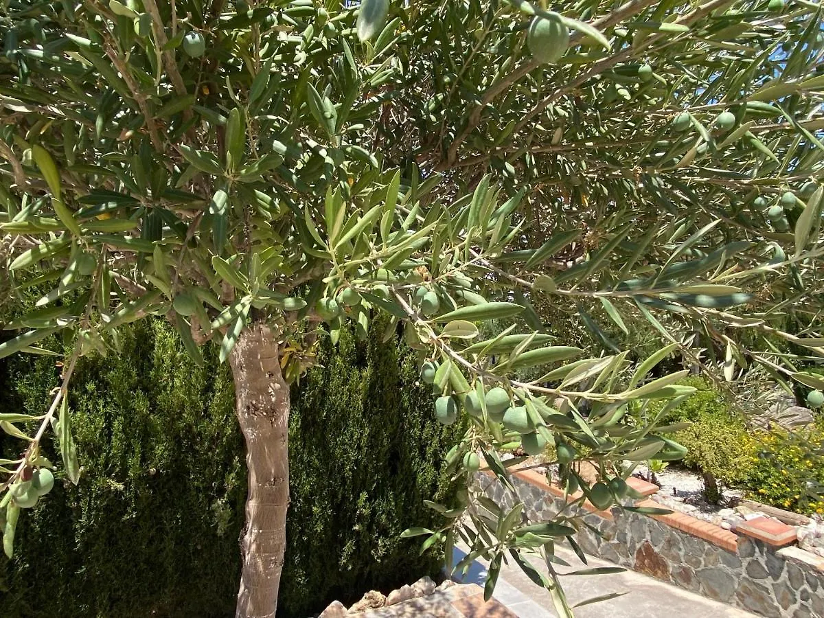 Detached Holiday House, 2 Bedrooms, Private Garden, Pool 阿尔豪林德拉托里 度假居